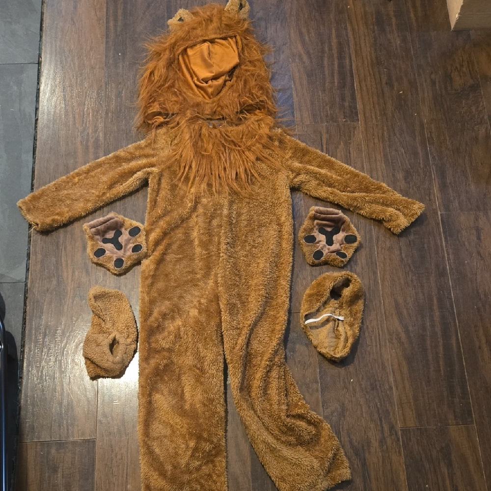 Kids Lion Costume - Brown